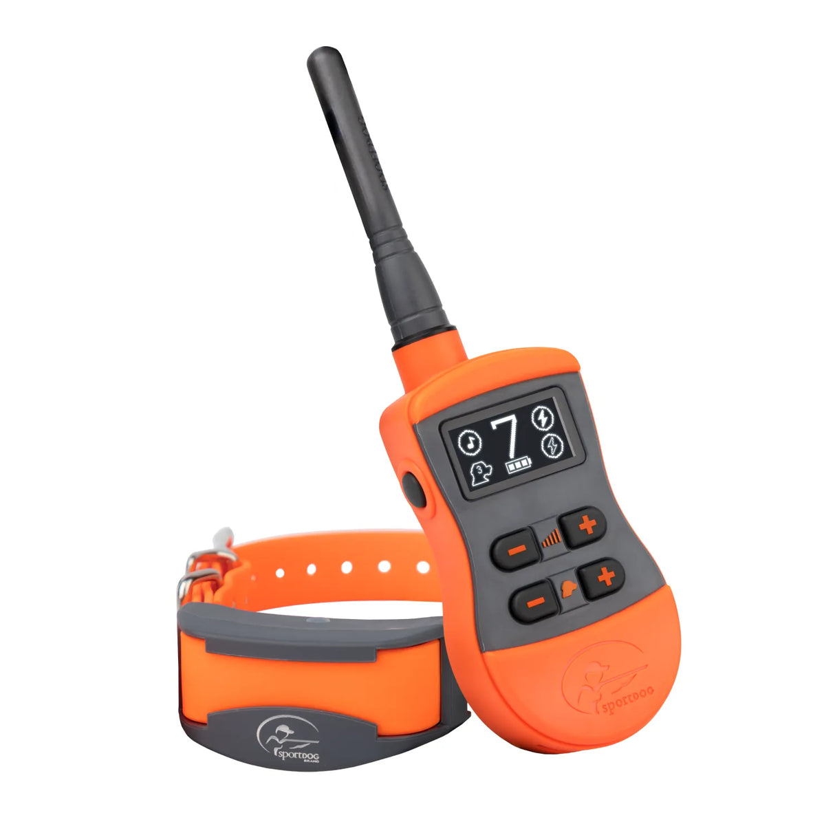 Sporttrainer 800m Ferntrainer DIGITAL