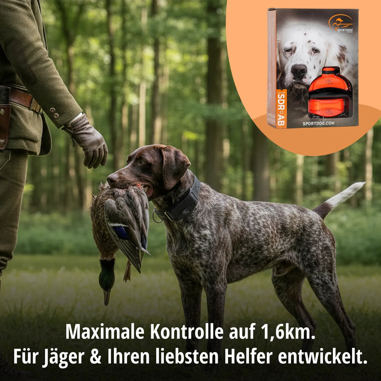 Teletakt »sportDOG« Erziehungshalsband zu SD-1875E · 7-stufig, Beeper