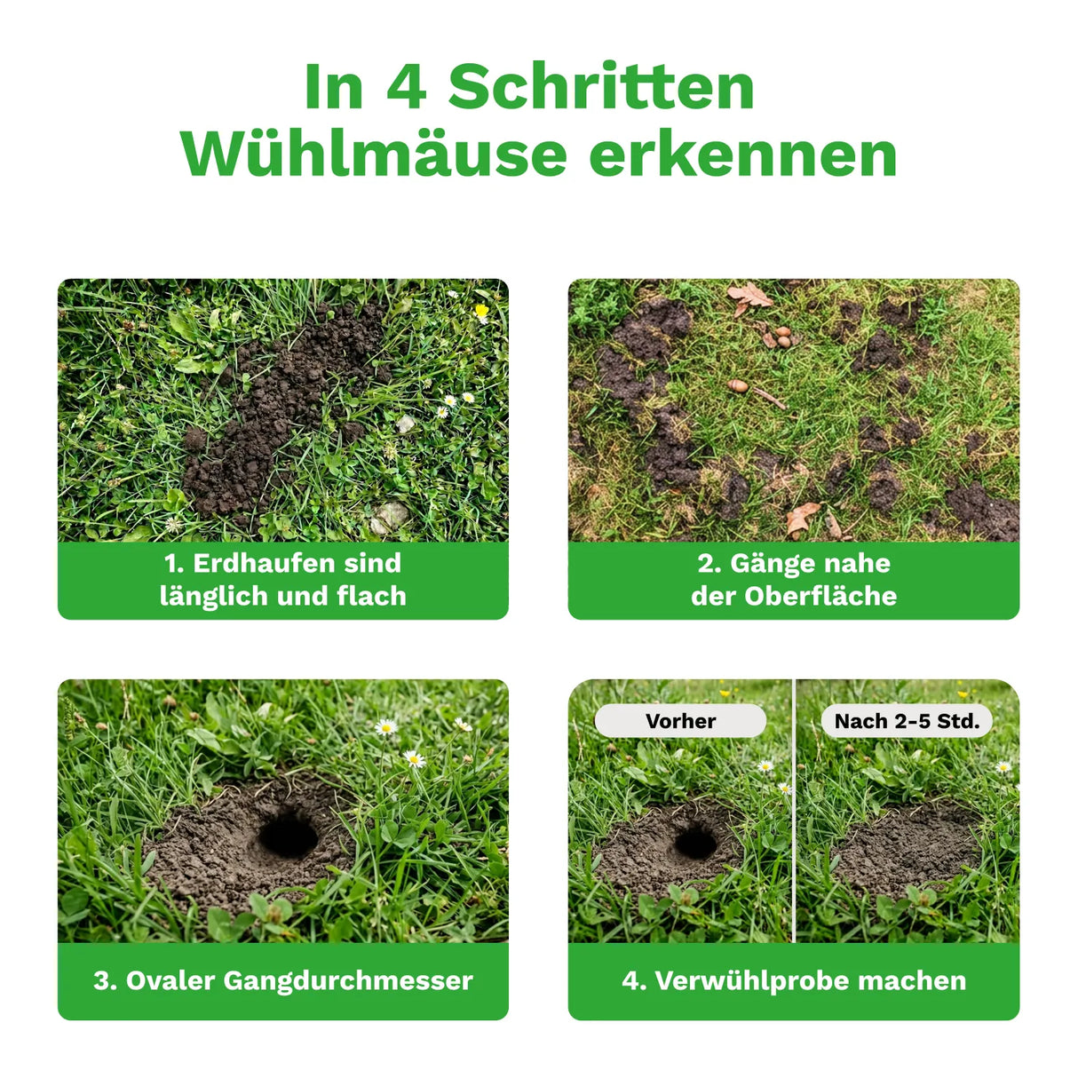 Wühlmausschussfalle »Classic« Wühlmausfalle