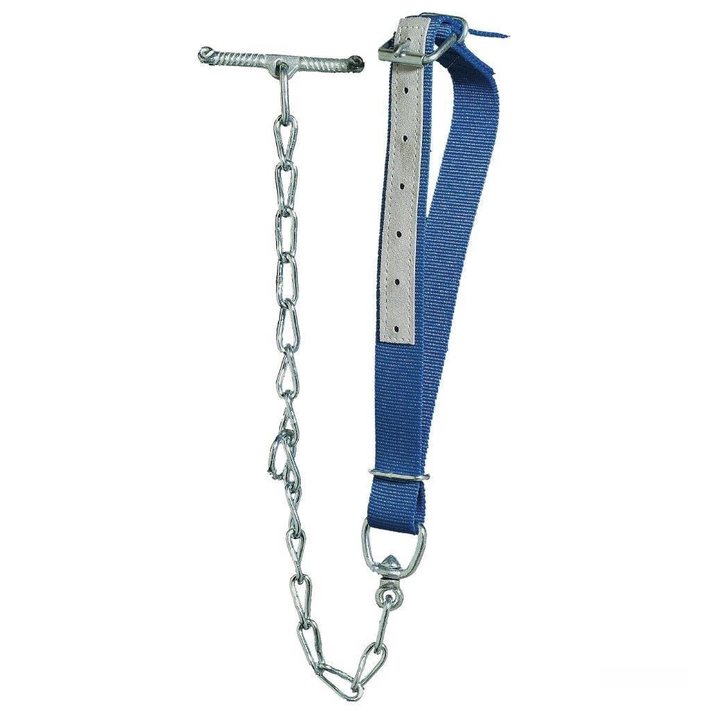 Kälberhalsband »Teen« zur Anbindung · mit Kette