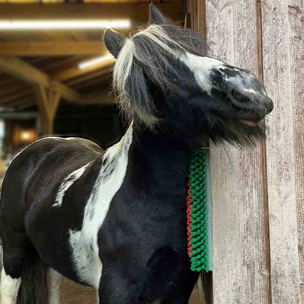 Kratzbürste »Universal« Viehbürste für Fellreinigung · halbrund