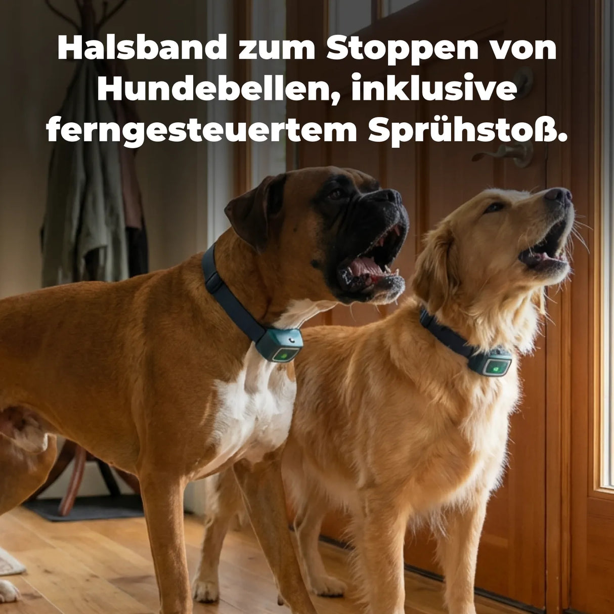 Zusatzhalsband für Ferntrainer »Spray Deluxe« PetSafe · 300m