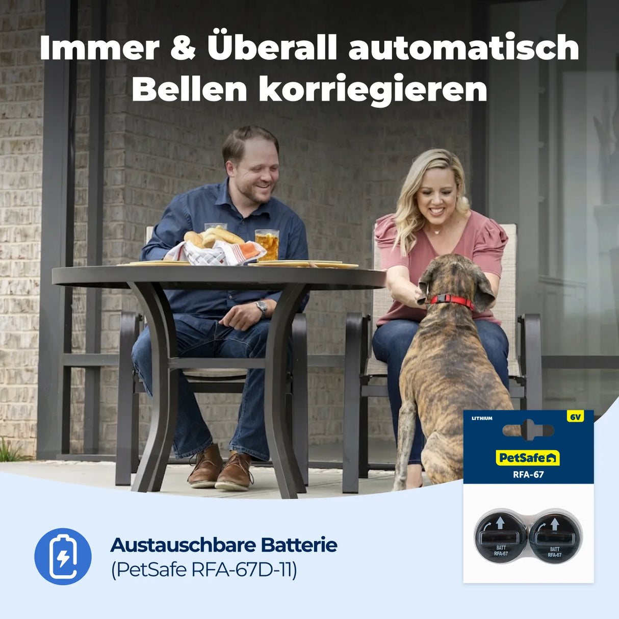 Antibellhalsband »Basic« PetSafe Stromhalsband · ab 3,6kg