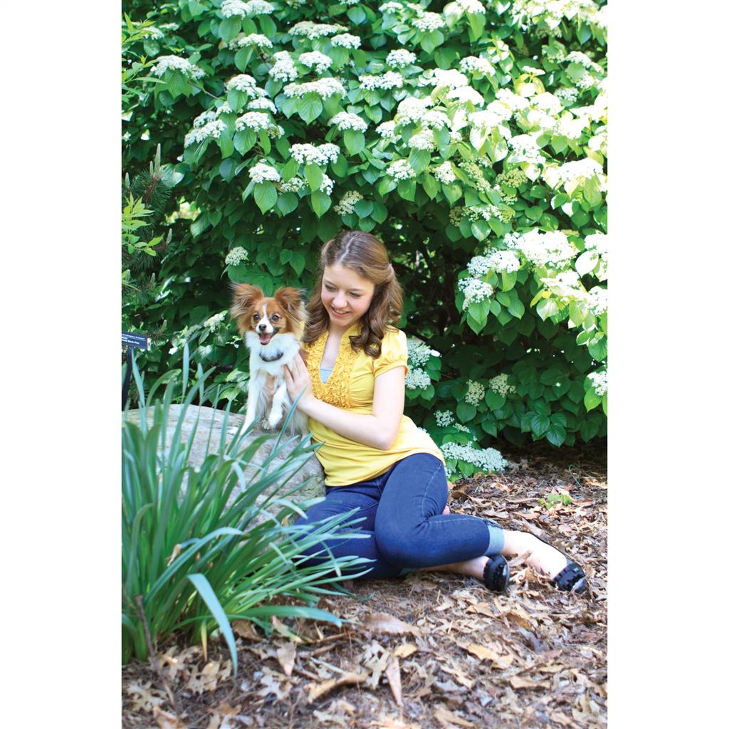 Antibellhalsband »Classic« PetSafe Vibrationshalsband