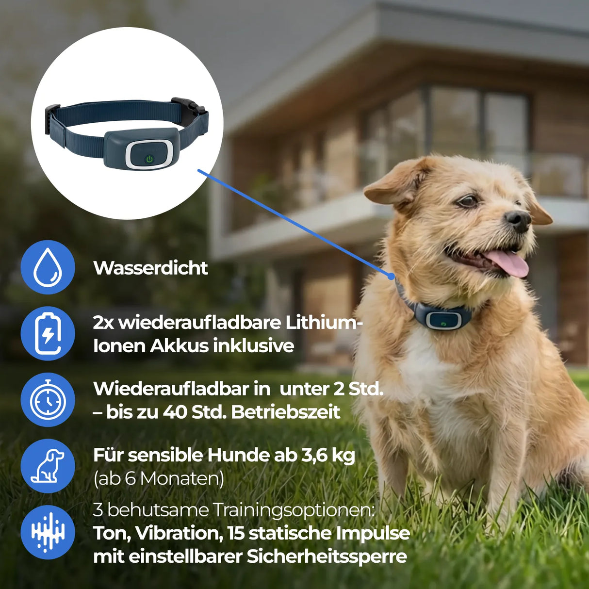 Ferntrainer »Lite« PetSafe Erziehung für sensible Hunde · 100m, ab 3,6kg