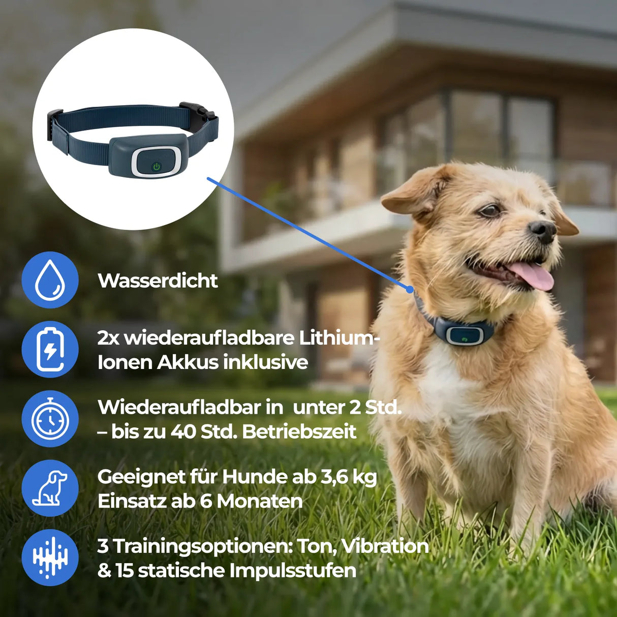 Ferntrainer »Standard« PetSafe Hundeerziehung · 100m, ab 3,6kg