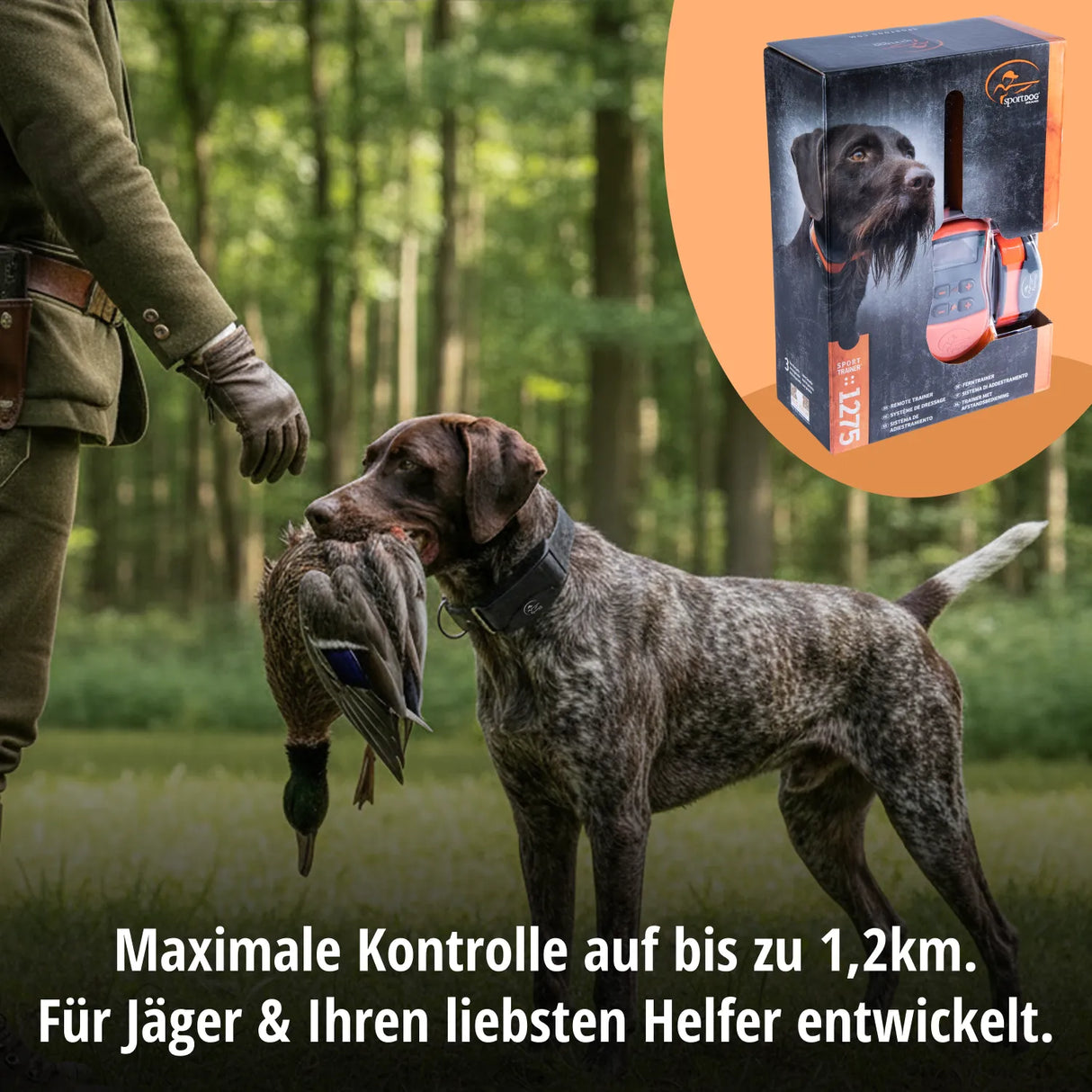 Teletakt Sporttrainer »sportDog« Handgerät & Halsband · 1,2km, 10-stufig