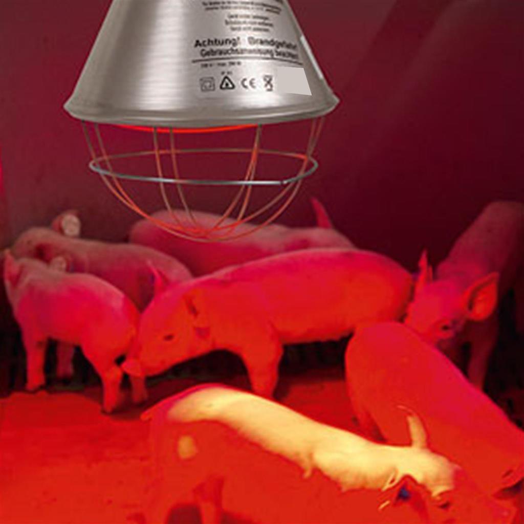 Stalllampe »Classic« für Infrarotbirne, Infrarotstrahler · 2,5m -5m