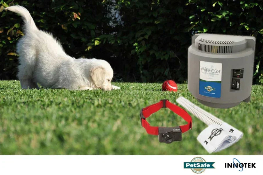 Unsichtbarer Hundezaun - Funktion, Aufbau, Übersicht & Vergleich