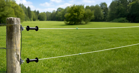 In 5 Schritten Weidezaun & Weidezaungerät auf Defekt prüfen