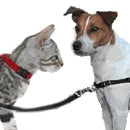 Hunde & Katzenzubehör