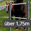 Recyclingpfähle über 1,75m