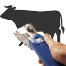 Schermaschinen für Rinder