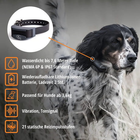 Teletac »sportDog« Handgerät & Halsband · 1,6km, 16-stufig