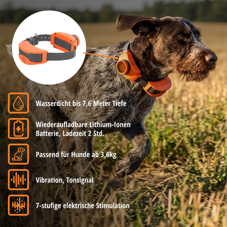 Teletakt »sportDog« Handgerät, Halsband, Beeper · 1,6km, 7-stufig