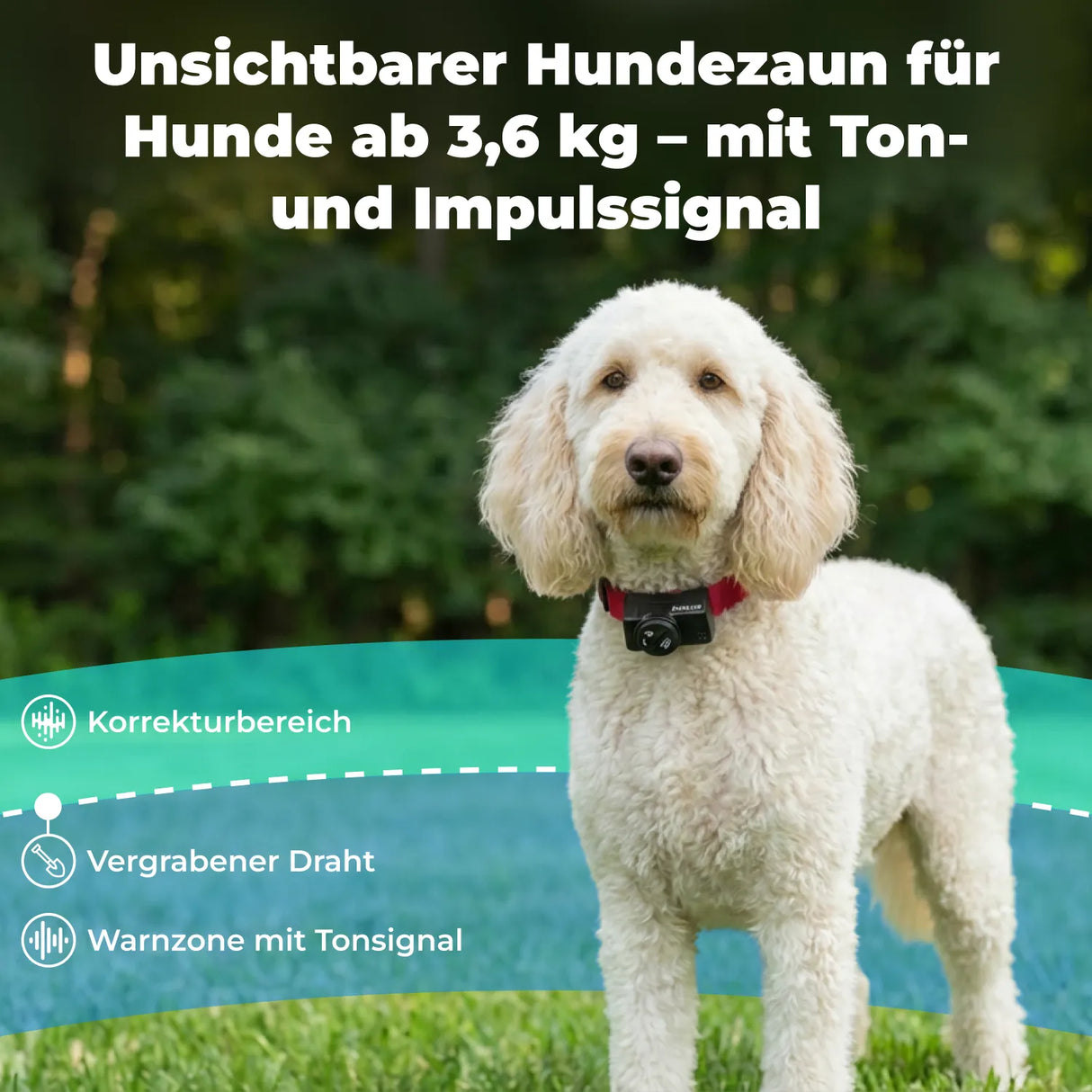 Unsichtbarer Hundezaun »Classic« erweiterbar auf 4ha · bis 18kg