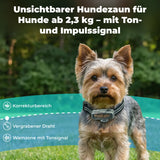 Unsichtbarer Hundezaun »Light« Zusatzhalsband mit Impuls & Ton