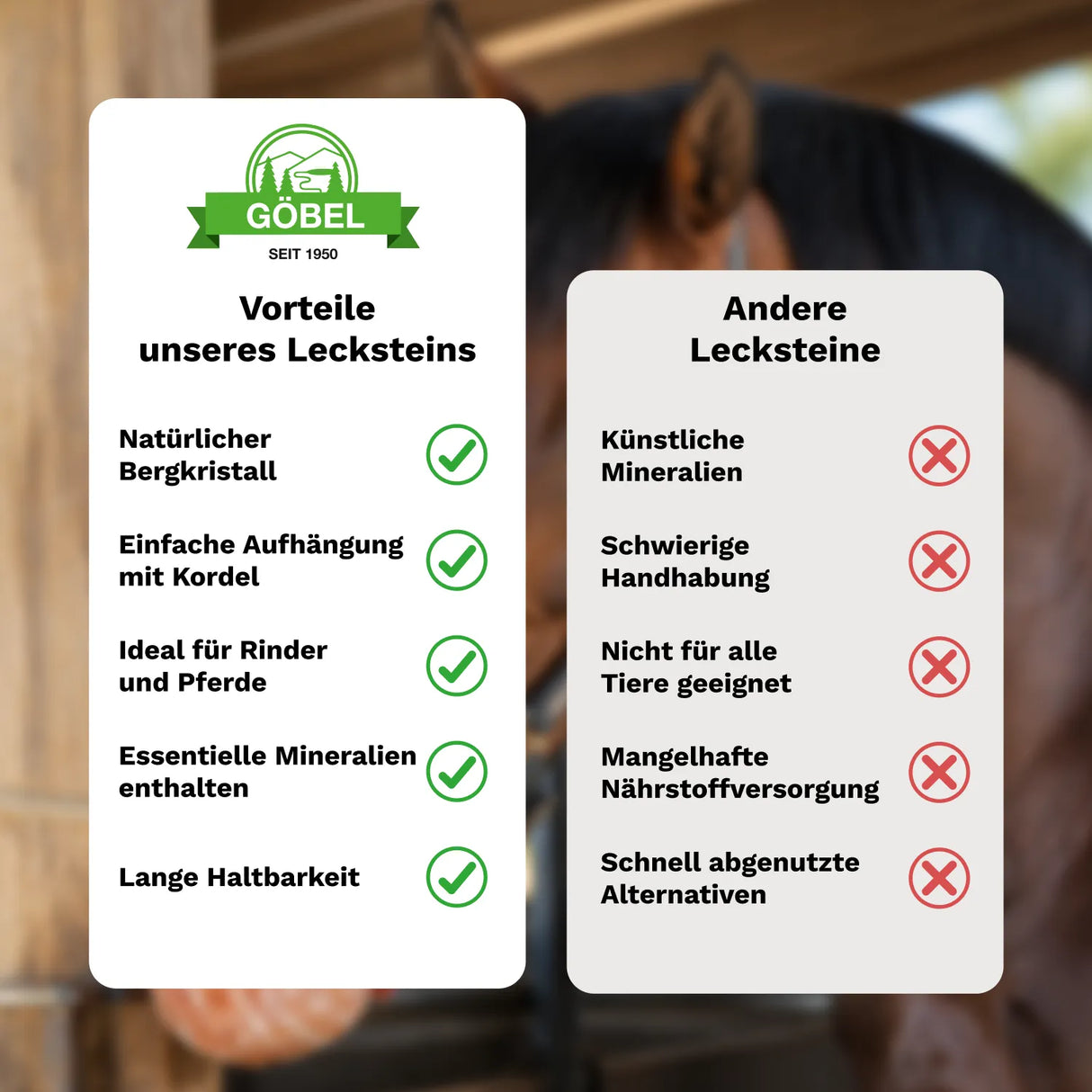 Salzleckstein »Himalaya« aus Bergkristall 1,75 kg · mit Kordel