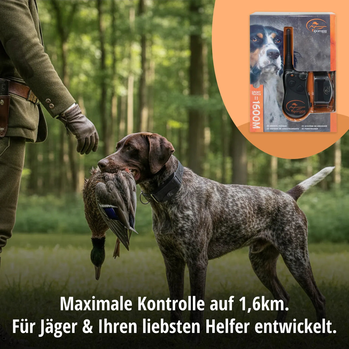 Teletac »sportDog« Handgerät & Halsband · 1,6km, 16-stufig