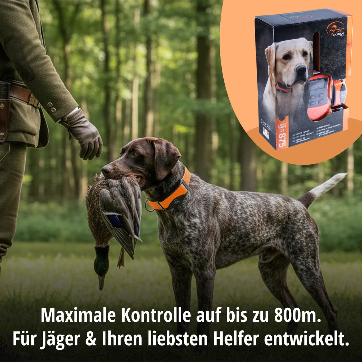 Sporttrainer 800m Ferntrainer DIGITAL