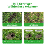 Wühlmausschussfalle »Classic« Wühlmausfalle