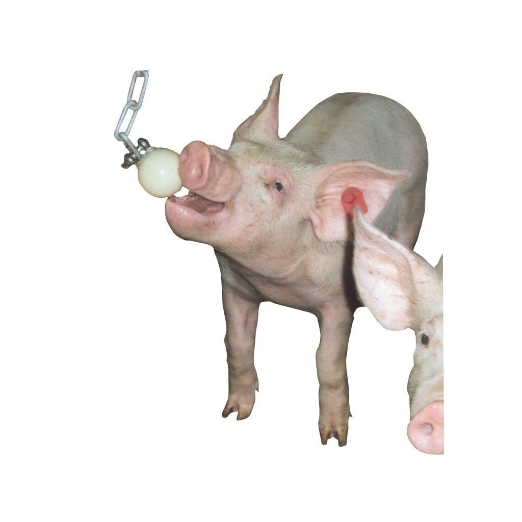 Ferkelball »Classic« Beißkugel · 55mm - 75mm