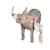 Ferkelball »Classic« Beißkugel · 55mm - 75mm