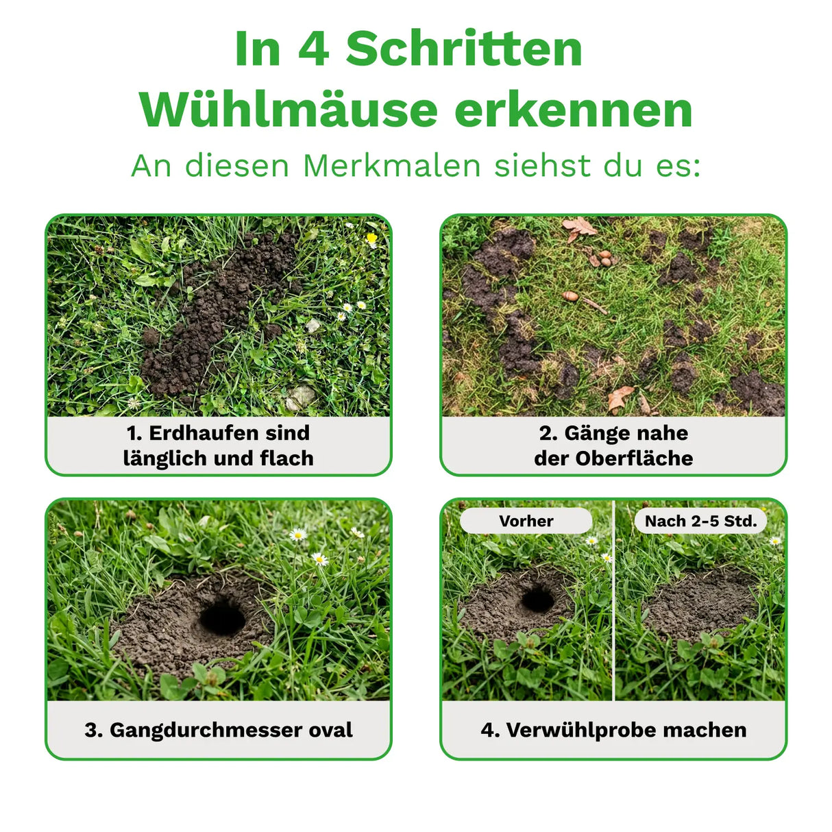 Wühlmausschussgerät »Set« Schussfalle inkl. 50 Platzpatronen