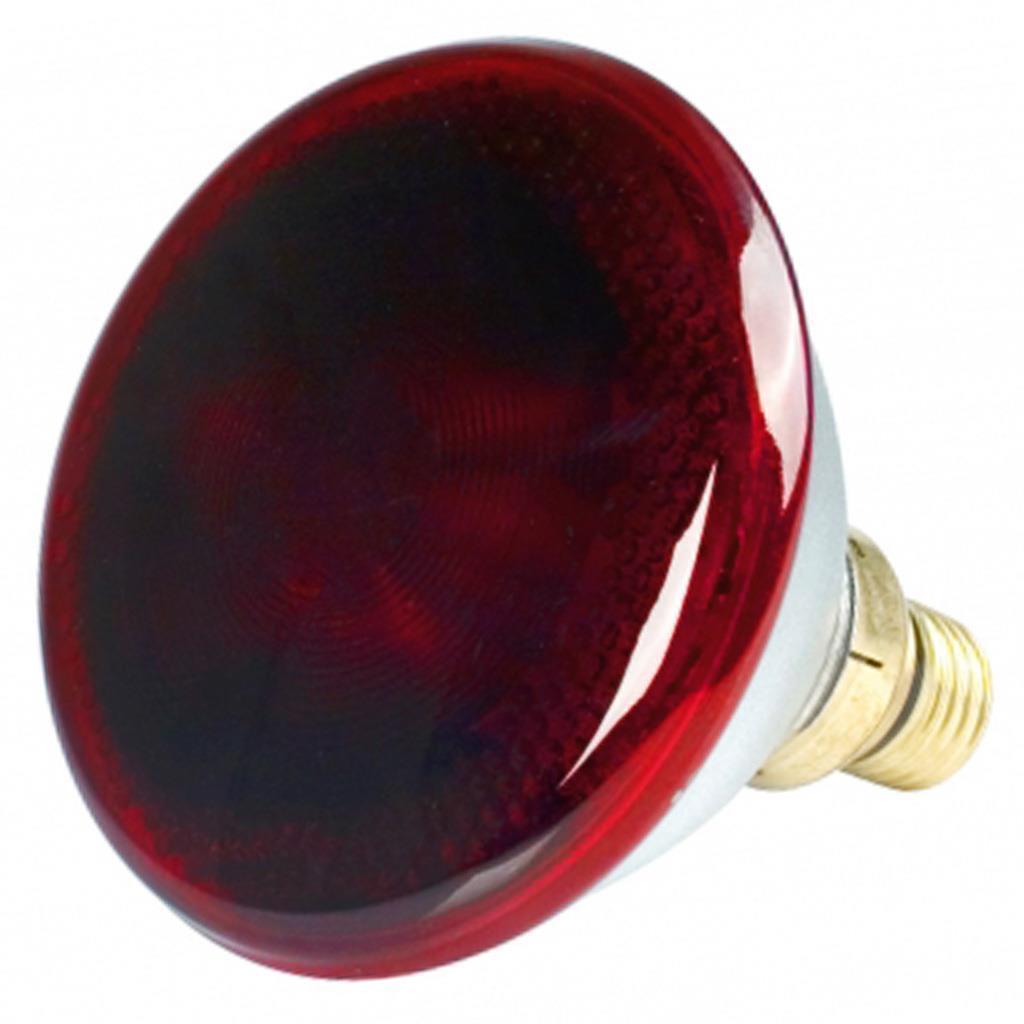 Infrarot Birnen »Classic« für Wärmelampe & Rotlicht · 100 - 250 Watt