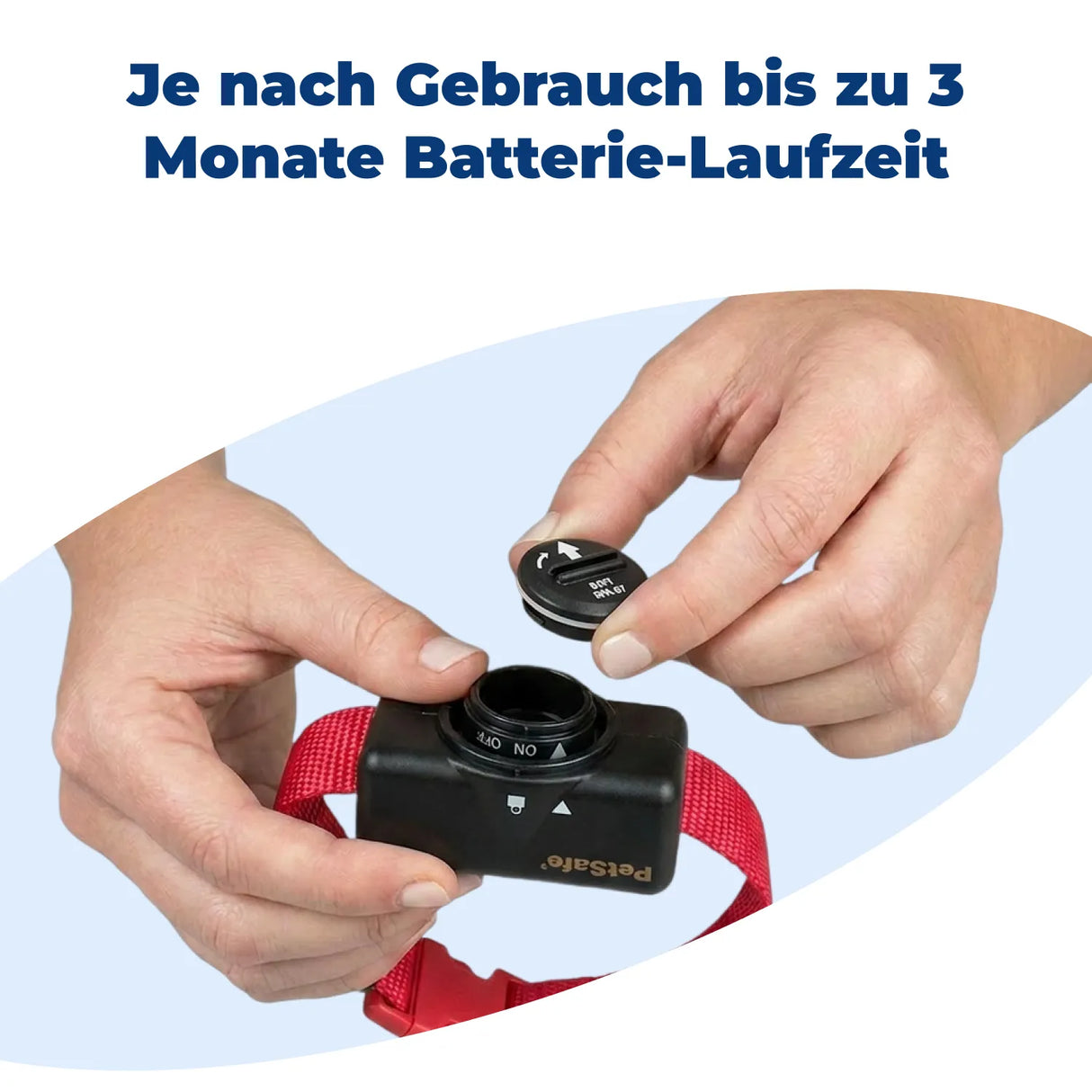 Antibellhalsband »Basic« PetSafe Stromhalsband · ab 3,6kg
