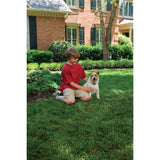 Antibellhalsband »Small Dog« Antibellhalsband · bis 26kg