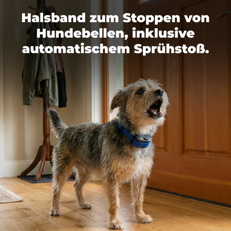 Antibellhalsband »Small Dog« Antibellhalsband · bis 26kg