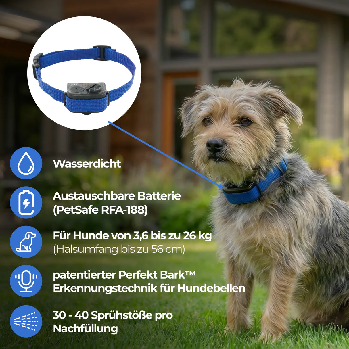 Antibellhalsband »Small Dog« Antibellhalsband · bis 26kg