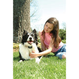 Anti Bell Halsband »Classic« PetSafe Elektrohalsband · ab 3,6kg