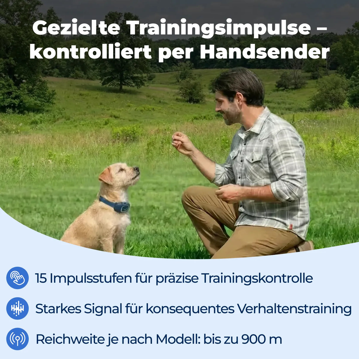 Ferntrainer »Standard« PetSafe Hundeerziehung · 900m, ab 3,6kg