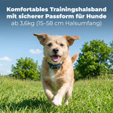 Ferntrainer »Standard« PetSafe Hundeerziehung · 300m, ab 3,6kg