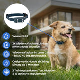 Ferntrainer »Standard« PetSafe Hundeerziehung · 600m, ab 3,6kg