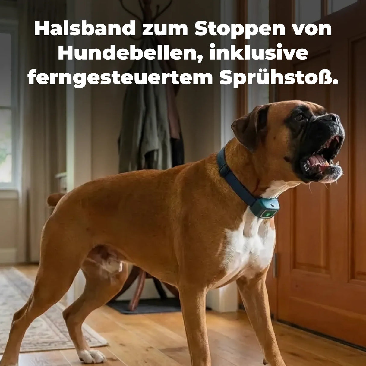 Ferntrainer »Spray Deluxe« PetSafe Sprayhalsband · 300m