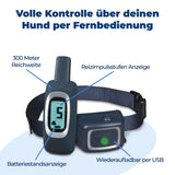 Ferntrainer »Spray Deluxe« PetSafe Sprayhalsband · 300m