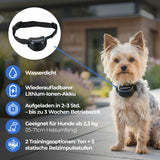 Unsichtbarer Hundezaun »Drahtlos Deluxe« 32m Radius · ab 2,3kg