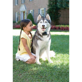 Unsichtbarer Hundezaun »Super« erweiterbar auf 4ha · ab 18kg