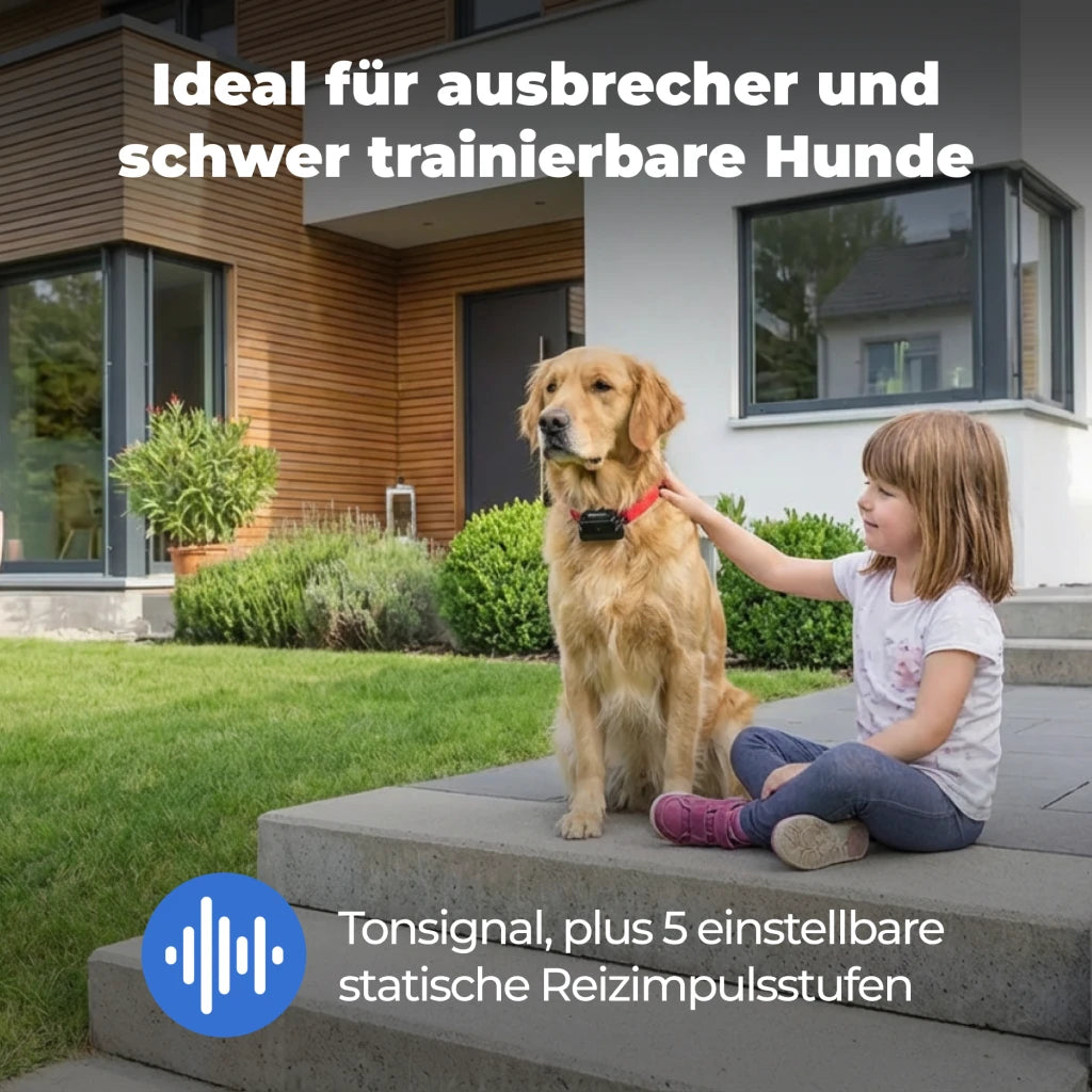 Unsichtbarer Hundezaun »Super« erweiterbar auf 4ha · ab 18kg