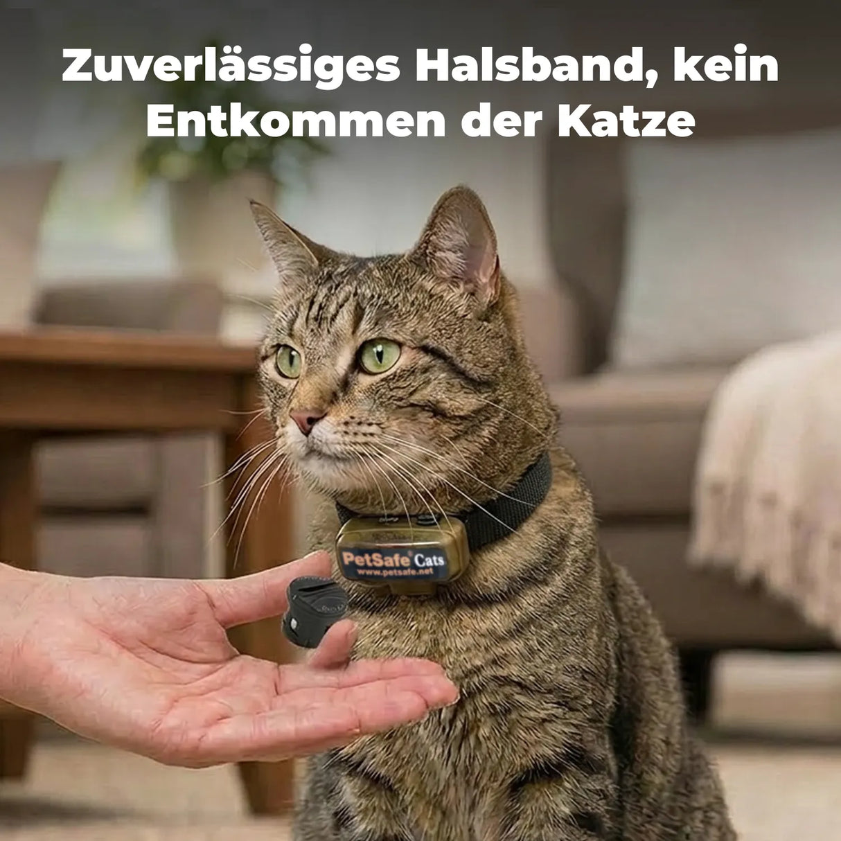 3V Batterie »PetSafe« RFA-188 für Antibell Halsband u.a.