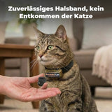 3V Batterie »PetSafe« RFA-188 für Antibell Halsband u.a.