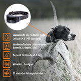 Tele Takt »sportDog« Handgerät & Halsband · 1,2km, 21-stufig