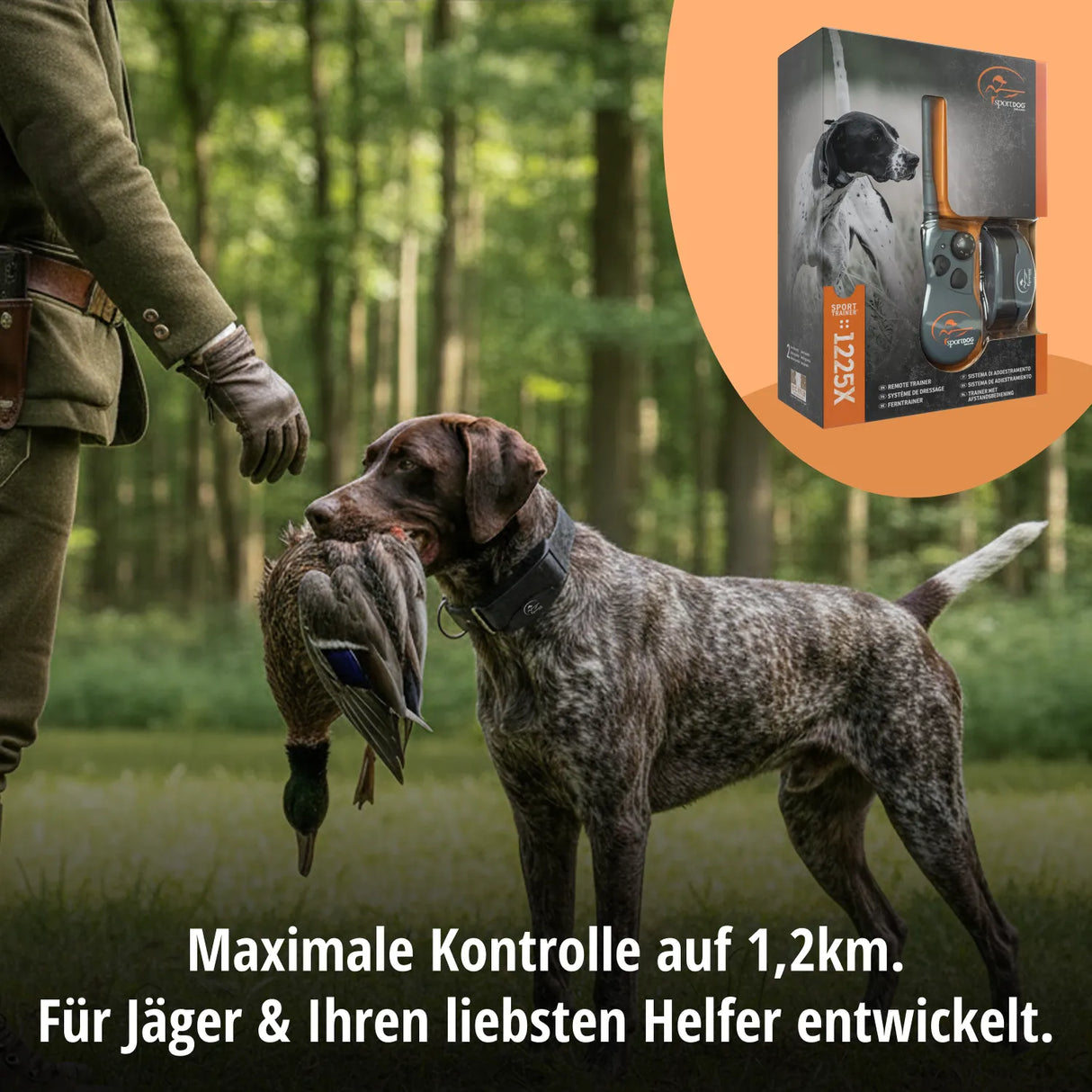Tele Takt »sportDog« Handgerät & Halsband · 1,2km, 21-stufig