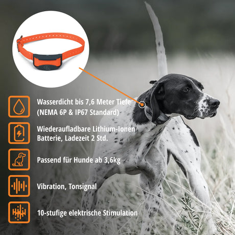 Teletakt Sporttrainer »sportDog« Handgerät & Halsband · 1,2km, 10-stufig