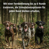 Teletakt Sporttrainer »sportDog« Handgerät & Halsband · 1,2km, 10-stufig