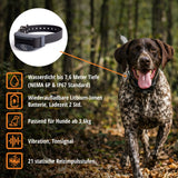 Teletac »sportDog« Handgerät & Halsband · 450m, 7-stufig