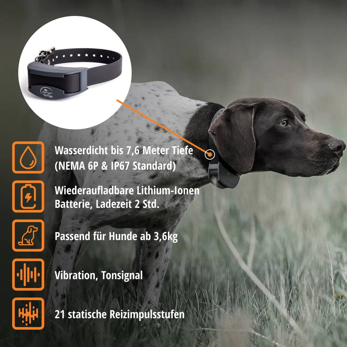 Teletac »sportDog« Handgerät & Halsband · 700m, 7-stufig
